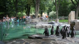 prazhskiy-zoo