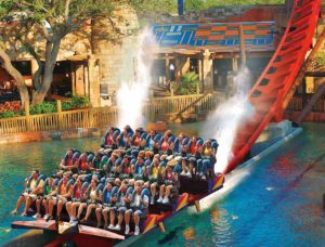 bush-gardens