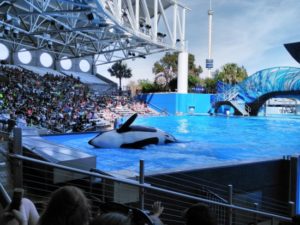 seaworld-orlando