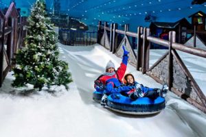 ski-dubay